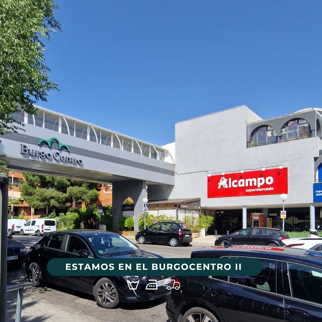Lavandería-en-la-zona-de-las-rozas